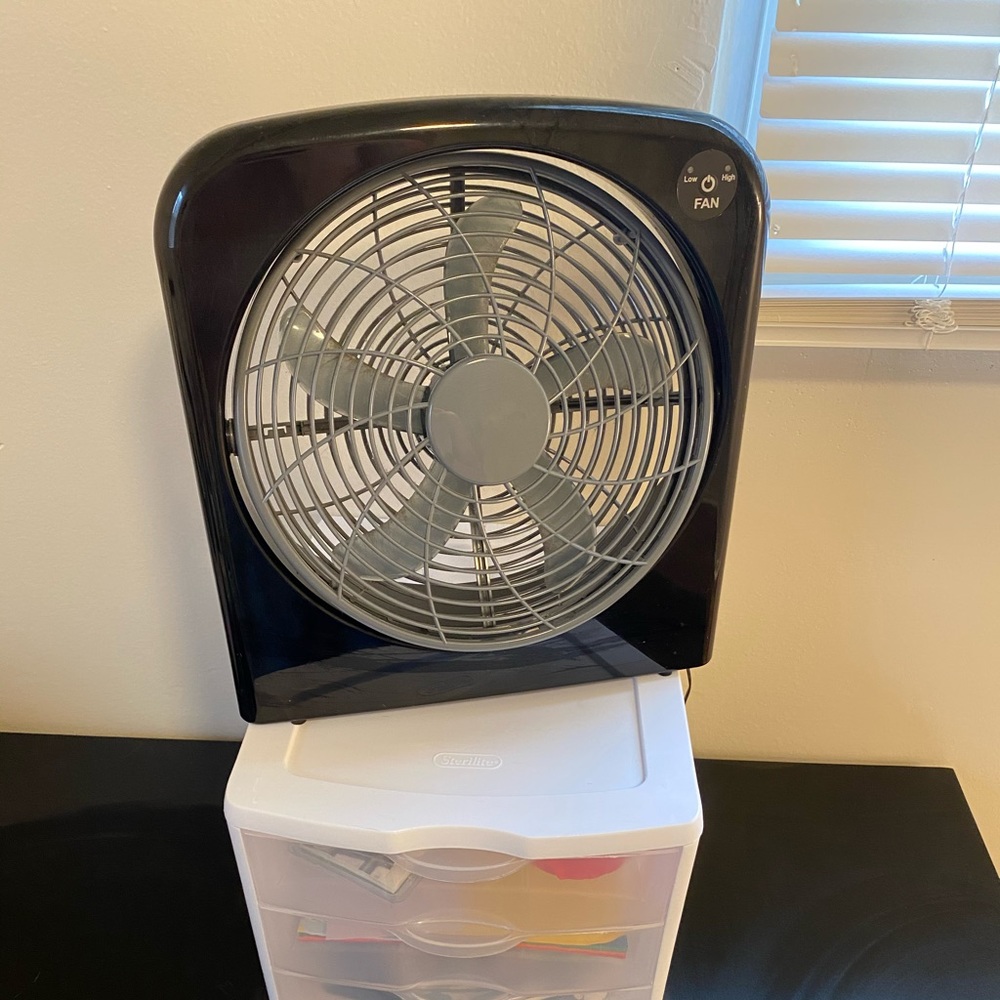 Fan
